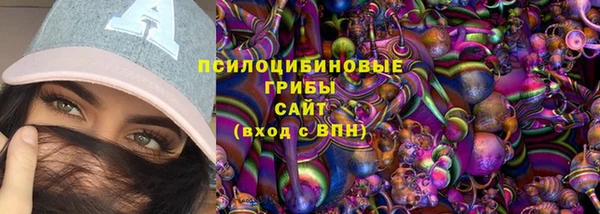 мдма Белокуриха