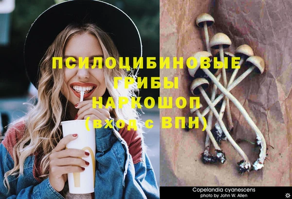 мдма Белокуриха